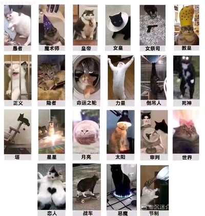 这是一组将22张塔罗牌大阿卡那牌面用搞笑猫咪照片对应呈现的梗图，每张猫咪的神态、动作或所处场景都贴合对应塔罗牌的意象：比如《倒吊人》用倒挂在风扇上的黑猫还原牌面姿态，《命运之轮》用待在洗衣机滚筒里的猫咪对应“命运轮转”的含义，《力量》用张开双臂站立的白猫展现“力量感”，整体将严肃的塔罗牌和软萌搞笑的猫咪结合，充满治愈感和趣味性。