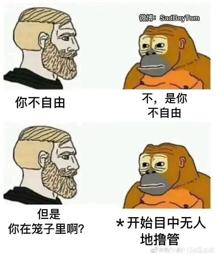 网络meme模板