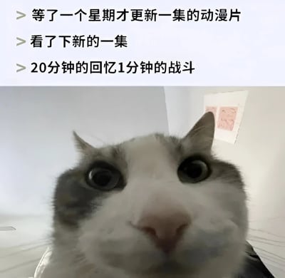 图片上半部分为三行文字，内容是“等了一个星期才更新一集的动漫片”“看了下新的一集”“20分钟的回忆1分钟的战斗”，表达了对动漫更新内容拖沓、回忆过多而正片战斗过少的吐槽。下半部分是一只灰白色猫咪的近距离特写，猫咪瞪着圆溜溜的大眼睛，表情震惊，生动展现了观众看到这种剧情安排时的错愕反应。