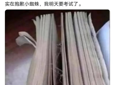 图片上方有一行文字“实在抱歉小蜘蛛，我明天要考试了。”，下方是几张摊开的书本特写，书页边缘清晰可见。整体通过文字与学习场景的结合，幽默地表达了因即将考试需专心复习而无法顾及其他事情的状态，带有学生备考时的调侃与无奈情绪。
