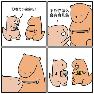 这是一幅四格漫画，描绘了两只袋鼠之间关于育儿袋的有趣误会。第一格：小袋鼠抱着自己的宝宝，开心地对大袋鼠说："你也有小宝宝呀!"。第二格：大袋鼠疑惑地回答："不然你怎么会有育儿袋"。第三格：大袋鼠打开自己的育儿袋。第四格：真相大白，原来大袋鼠的育儿袋里装的是食物，它正开心地吃着。
