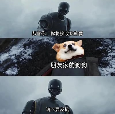 这是一个三格拼接的搞笑梗图，上格是《曼达洛人》中的黑色机器人，配文“恭喜你，你将接收我的爱”；中格是同一机器人身体但头部被替换成惊讶表情的柯基犬头，配文“朋友家的狗狗”；下格恢复机器人原貌，配文“请不要反抗”。通过严肃机器人与可爱柯基犬的反差制造幽默效果。