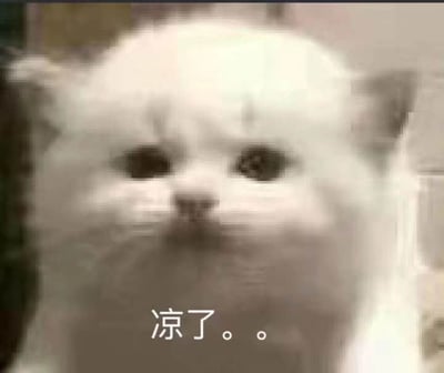 图片中是一只毛发雪白的猫咪，面部因模糊显得五官不甚清晰，但能看出它睁着圆溜溜的眼睛直视镜头，表情略带呆滞或无奈。图片底部有一行白色文字“凉了。。”，整体营造出一种事情失败或无法挽回的幽默丧感氛围。