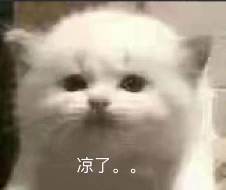 猫咪配文'凉了。。'表情包