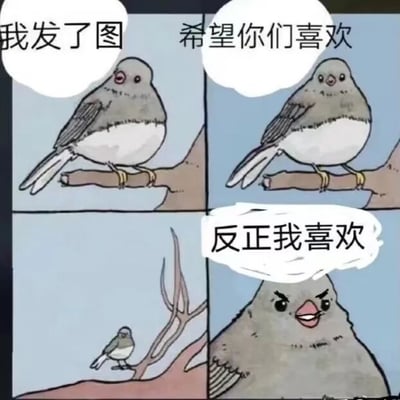 四格连环漫画描绘了一只灰色小鸟的心理变化：第一格小鸟站在树枝上，对白“我发了图”；第二格同样姿势，对白“希望你们喜欢”；第三格切换视角，远处小树枝上有一只极小的同类；第四格小鸟近距离特写，表情愤怒，咧嘴露齿，对白“反正我喜欢”。通过前后态度对比，展现了从期待他人认可到坚持自我喜好的傲娇心态，幽默地表达了“分享内容不必强求他人喜欢，自我满足最重要”的生活态度。