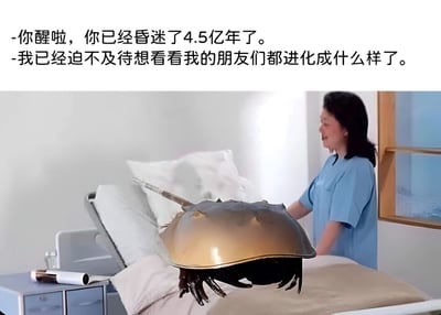 图片上方有两行对话文本：“-你醒啦，你已经昏迷了4.5亿年了。-我已经迫不及待想看看我的朋友们都进化成什么样了。”下方是医院病房场景，一位穿着蓝色医护服的女性站在病床旁，病床上躺着一只鲎（马蹄蟹），仿佛鲎是刚刚苏醒的“患者”。图片通过鲎作为活化石几亿年未明显进化的特性制造幽默效果，当它关心朋友进化情况时，形成反差笑点。