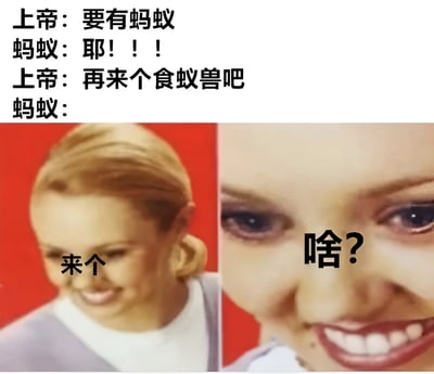 这是一张搞笑梗图，上方是上帝与蚂蚁的对话：上帝说“要有蚂蚁”，蚂蚁开心地回应“耶!!!”，接着上帝说“再来个食蚁兽吧”，蚂蚁的回应则用下方的图片表示。图片分为左右两部分，左边是一位金发女性微笑着，脸上有“来个”字样；右边是同一位女性的脸部特写，眼睛瞪大，嘴巴张开，露出惊讶的表情，脸上有“啥?”字样。通过蚂蚁从开心到震惊的情绪转变，形成幽默效果。