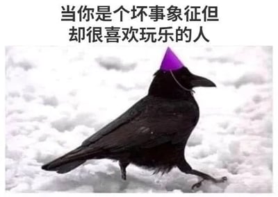 图片上方配有文字“当你是个坏事象征但却很喜欢玩乐的人”，下方是一只站立在雪地上的黑色乌鸦，其头部被P上了一顶紫色的派对帽。整体通过乌鸦（传统中常被视为不祥预兆的象征）与代表欢乐的派对帽形成鲜明反差，营造出幽默搞笑的效果，展现了“看似负面象征却有活泼一面”的矛盾萌点。