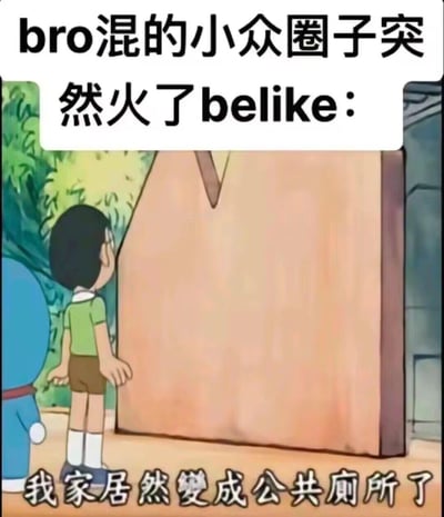 这张梗图改编自动画《哆啦A梦》的原作场景，画面里野比大雄和哆啦A梦站在一个类似被占用的空间前，上方配文“bro混的小众圈子突然火了belike：”，下方配文“我家居然變成公共廁所了”。用大雄的视角和这句吐槽，精准比喻了原本私密、小众的兴趣圈子突然“出圈”，涌入大量新用户后，老粉丝感觉自己的“自留地”被当成了公共空间的无奈与崩溃，充满吐槽感和搞笑氛围，没有双关或谐音梗，纯粹是场景与网络现象的贴合。