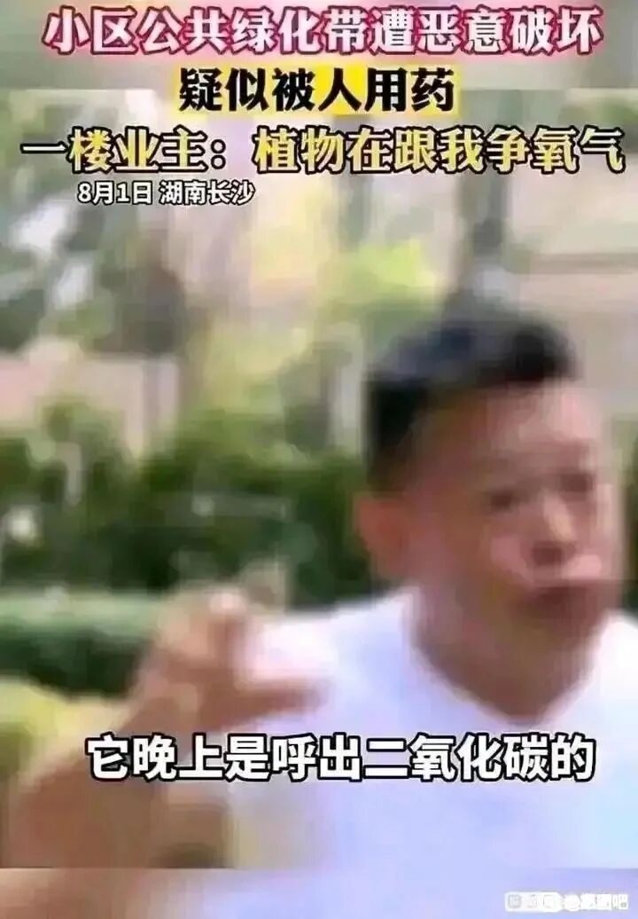 小区一楼业主