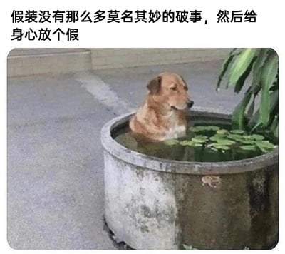 这是一张静态实拍图，画面呈现了户外场景里，一只棕黄色的狗狗惬意地泡在带有睡莲叶子的石制水缸中，仅露出上半身，神态放松放空。图片上方配有文字“假装没有那么多莫名其妙的破事，然后给身心放个假”，用狗狗躲避在水缸里的可爱行为，生动地表达了人们在面对生活中诸多烦心事时，想要暂时逃离、放空自己，给自己身心放个假的情绪，画面趣味十足又能引发共鸣。