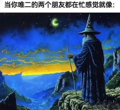 这张梗图通过一张巫师独自站在悬崖上眺望夜空的场景，幽默地表达了当自己仅有的两个朋友都忙碌时的孤独感。图片上方配有文字"当你唯二的两个朋友都在忙感觉就像:"，通过将孤独的情绪与广阔而空旷的场景对比，产生了一种夸张而搞笑的效果。