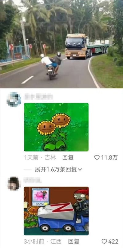 整张图由上下两部分拼接而成，上半部分是实拍的乡村道路场景：两名佩戴头盔的男子共乘一辆摩托车在弯道行驶，对面车道正驶来一辆大型半挂卡车，两车距离较近看上去存在碰撞风险；下半部分是对应这条实拍内容的社交平台评论区截图，第一条来自吉林的评论获11.8万赞，配图是游戏《植物大战僵尸》里的双生向日葵，对应上半部分的两名骑摩托的人，第二条来自江西的评论配图是《植物大战僵尸》里开冰车的僵尸，对应上半部分的大卡车，用游戏元素玩梗，调侃两名骑摩托的人当前处境十分危险。