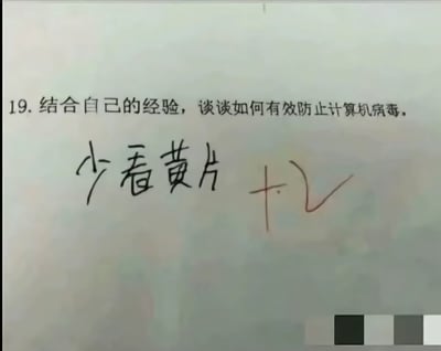 一张考试试卷的截图，显示第19题题目为'结合自己的经验，谈谈如何有效防止计算机病毒。'，下方手写答案为'少看黄片'并被打上了对勾和加分符号。图片通过幽默夸张的方式调侃了常见的计算机病毒感染途径，具有搞笑效果。