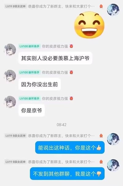 这是一张社交软件群聊截图，展示了一个幽默对话场景。用户"LV100 崩坏高手"发表言论称"其实别人没必要羡慕上海沪爷，因为你没出生前，你是京爷"，巧妙运用了"沪爷"和"京爷"的地域梗制造幽默效果。另一位用户"LV19 B级女武神"用点赞和倒赞表情给予高度评价，并要求将内容转发到其他群聊。