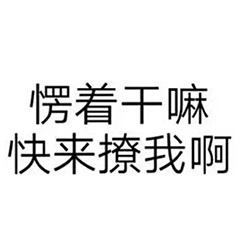 愣着干嘛 快来撩我啊