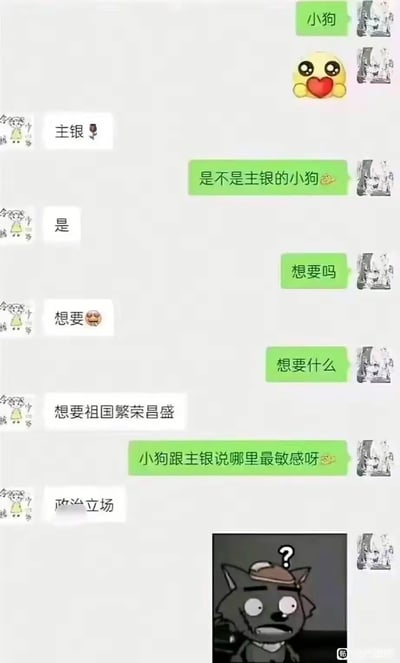 这是一段充满反差感的趣味聊天记录梗图：一方以“主银”和“小狗”的亲昵互动语气发起对话，原本是偏向暧昧的引导式提问，另一方却全程用正能量的爱国相关回答接梗——问“想要什么”答“想要祖国繁荣昌盛”，问“哪里最敏感”答“政治立场”，最后提问方发送了一脸疑惑的灰太狼表情包，将原本的暧昧氛围瞬间转向正能量爱国主题，形成荒诞又好笑的反差效果，让人忍俊不禁。