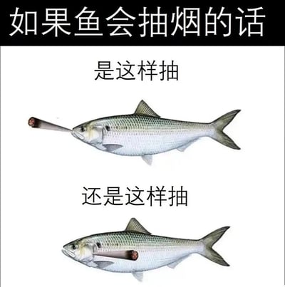 暂无描述