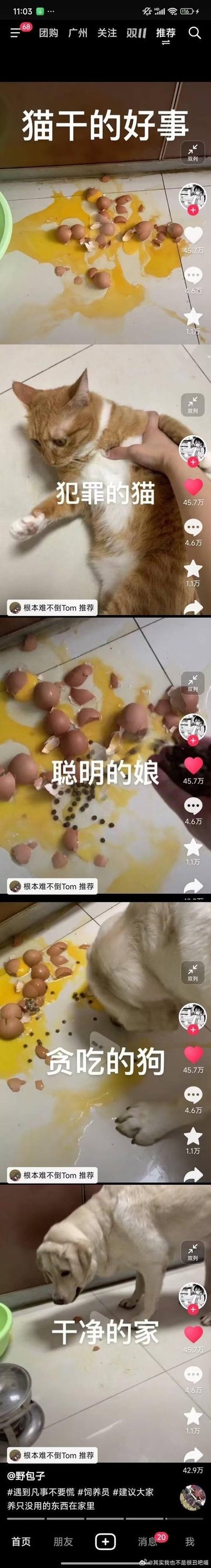 这是一组由五张竖屏图组成的连环实拍梗图，记录了猫咪闯祸到问题被巧妙解决的全过程：
1. 第一张图展示地面上被弄碎的一堆鸡蛋，蛋液流淌一地，配文“猫干的好事”，点明闯祸者；
2. 第二张图是被主人按住的橘猫，猫咪一脸不情愿，配文“犯罪的猫”，“抓包”闯祸的猫咪；
3. 第三张图是主人在蛋液区域撒上狗粮，配文“聪明的娘”，展现巧妙的应对办法；
4. 第四张图是狗狗正专注地舔食地面上的蛋液和狗粮，配文“贪吃的狗”，利用狗狗的贪吃特性解决清洁问题；
5. 第五张图是被狗狗清理干净的地面，配文“干净的家”，呈现最终的整洁结果。
整个流程充满生活趣味，笑点在于这种接地气又机智的“清洁妙招”，将宠物闯祸的小麻烦变成了搞笑的日常趣事。