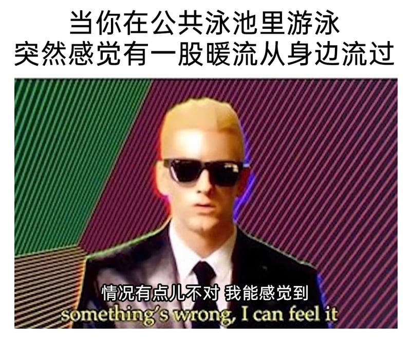 网络迷因'something's wrong I can feel it'