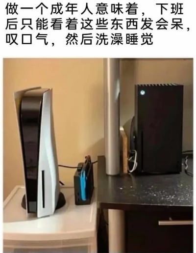这是一张顶配底文的网络梗图，顶部配有黑色宋体文字“做一个成年人意味着，下班后只能看着这些东西发会呆，叹口气，然后洗澡睡觉”，下方实拍图里分别摆放着索尼PlayStation 5和微软Xbox Series X两款主流家用游戏主机，调侃当代职场打工人下班之后身心俱疲，即便拥有自己喜爱的娱乐设备，也没有精力游玩，只能对着设备短暂放空后就洗漱休息，抒发了成年人被工作消耗后娱乐时间和精力被挤压的无奈情绪。