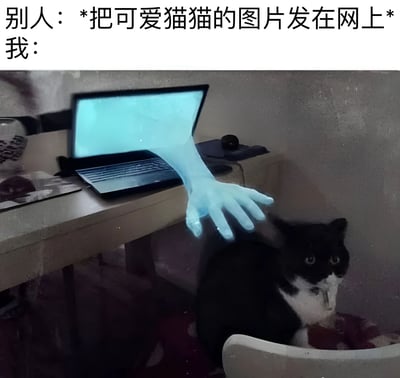 图片上方文字对比“别人：*把可爱猫猫的图片发在网上*”与“我：”，下方是一只黑白相间的猫咪抬头警觉地看着前方，一只泛着蓝光的半透明手从旁边亮着屏幕的笔记本电脑中伸出，正要触碰猫咪。通过夸张的对比手法，幽默展现自己分享猫咪照片时的“与众不同”。