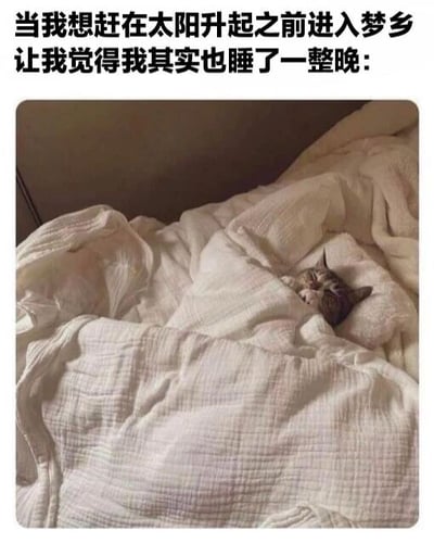 图片上方配有文字'当我想赶在太阳升起之前进入梦乡 让我觉得我其实也睡了一整晚:'，下方是一张猫咪蜷缩在白色毛毯中熟睡的照片，仅露出小脑袋，表情安详。通过猫咪熟睡的可爱模样，幽默地表达了熬夜后赶在日出前入睡、并自我安慰仿佛睡了一整晚的心理状态。