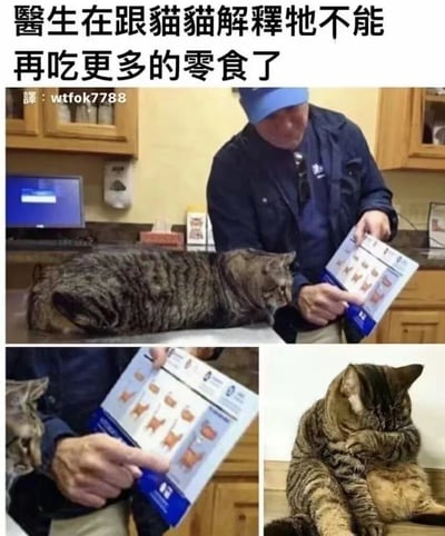 这是一张三格拼接的趣味梗图，顶部配有说明文字：“医生在跟猫猫解释牠不能再吃更多的零食了”。第一格内容为宠物医院场景，一名戴蓝色帽子的男子手持印有不同体型猫咪示意图的手册，对着诊台上的虎斑猫讲解；第二格是男子手指手册上偏胖猫咪示意图的特写；第三格是虎斑猫拟人化地双手抱胸、耷拉着脑袋坐着，呈现出被禁止吃零食后郁闷不爽的情绪，整体风格诙谐有趣，用拟人的方式表现出被禁止吃喜欢的食物时的低落心情。