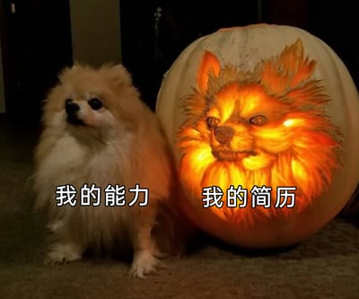 这是一张职场调侃类梗图，画面左侧是一只真实的浅棕色博美犬，神态自然地侧头看向一旁，安静坐在地面上，下方配文“我的能力”；右侧是一个雕刻成博美犬形象的南瓜灯，雕刻工艺精细，内部点亮后呈现出富有视觉冲击力的效果，下方配文“我的简历”。通过真实狗狗的普通形象与被美化、夸张的南瓜灯形象形成强烈对比，以幽默的方式讽刺了职场中简历过度包装、夸大个人实际能力的普遍现象，精准戳中职场人的共鸣点。
