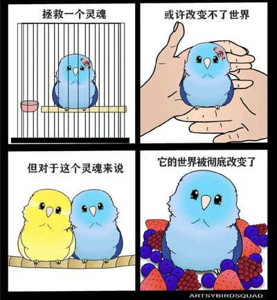 四格连环漫画展现了一只头部带伤的蓝色小鸟的命运转变。第一格：蓝色小鸟被关在笼子里，上方文字“拯救一个灵魂”；第二格：一只手温柔托着小鸟，文字“或许改变不了世界”；第三格：蓝色小鸟与黄色小鸟依偎在一起，文字“但对于这个灵魂来说”；第四格：蓝色小鸟站在草莓、蓝莓等水果中，表情愉悦，文字“它的世界被彻底改变了”。通过小鸟从禁锢到自由、从孤独到陪伴、从困苦到幸福的变化，传递出微小善意对个体生命具有重大意义的温暖主题。