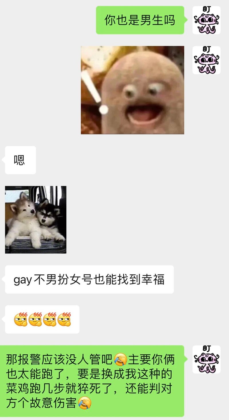 哈士奇