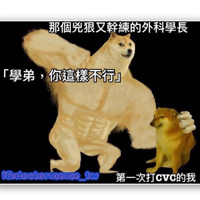 圖片展示了兩隻柴犬的合成圖像，左側是一隻具有強壯人體肌肉的柴犬，標題為「那個兇狠又幹練的外科學長」，右側是一隻普通坐姿的柴犬，標題為「第一次打CVC的我」。大柴犬對小柴犬說：「學弟，你這樣不行」，幽默呈現醫學領域中資深醫師指導新手的場景，反映了醫學生學習新技術時的緊張與壓力。