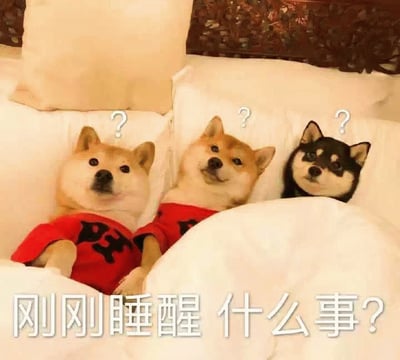 图片中三只柴犬并排躺在白色沙发上，身上穿着红色带有黑色图案的衣服，每只狗的头顶都有一个白色的问号符号。它们表情呆萌，眼神中带着一丝刚睡醒的懵懂，似乎对周围环境或突然发生的事情感到疑惑。图片底部有一行白色文字：'刚刚睡醒 什么事?'，精准传达了狗狗们刚从睡梦中醒来时的状态和疑问，整体画面充满可爱与治愈感。