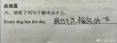 这是一张英语练习题的扫描图，属于拓展板块的翻译题目，要求将英文句子“Every dog has his day.”翻译成中文，图中手写的翻译是“狗日子总有到头的一天”，这是对该英语谚语的错误直译，忽略了其作为谚语的引申含义，正确的翻译应为“人人皆有得意时”。图片右下角带有微博用户“@幽默蓝孩”的水印，整体为静态单图，以图文混排的形式呈现了一个充满趣味的学习错误场景。