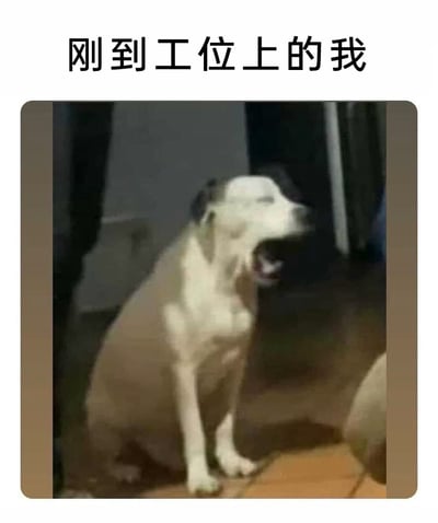 这是一张贴合职场打工人日常的趣味梗图，顶部配有文字“刚到工位上的我”，下方是一张真实拍摄的宠物狗照片：狗狗端正地坐着，眼睛紧闭、嘴巴大张打哈欠，神态尽显困倦疲惫。这张图将打工人刚抵达工位时，还未从睡眠状态中缓过来、昏昏欲睡的状态具象化，精准戳中职场人的日常痛点，容易引发广大打工人的共鸣，常用于社交媒体上调侃上班初期的疲惫状态。
