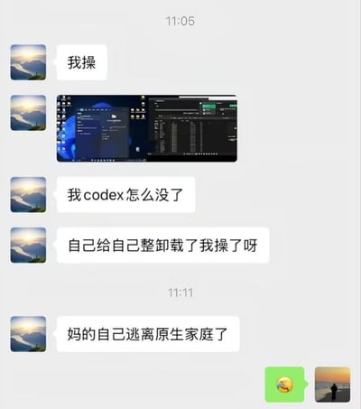 这是一张社交软件的聊天记录截图，左侧发言用户的头像为风景照，11:05时该用户先发出惊讶的粗口，随后附上自己的电脑桌面截图，桌面显示打开了代码相关的操作界面，紧接着该用户吐槽自己的codex软件消失，发现是自己不小心将其卸载，情绪十分崩溃；11:11时该用户玩梗吐槽消失的codex是‘自己逃离原生家庭了’，最后聊天另一方的用户回复了一个捂脸大笑的表情，整体内容是程序员工作中出现操作失误后的搞笑吐槽。