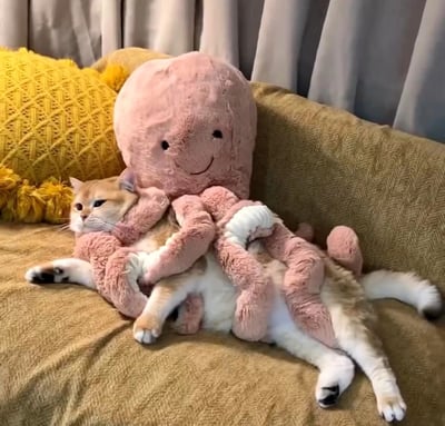 棕色沙发上，一只橘白相间的猫咪正被一个大号粉色章鱼玩偶紧紧抱住。猫咪四肢舒展，表情淡定从容，眼神略带慵懒，仿佛享受着玩偶的“拥抱”。玩偶有着圆润的头部和简单的笑脸，八只触手将猫咪温柔环绕。背景中，黄色针织抱枕和浅色窗帘增添了居家温馨感，整体画面治愈又可爱，展现了宠物与玩具间的趣味互动。