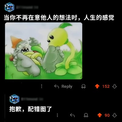 这是一张由上下两部分组成的搞笑梗图。上半部分配有文字“当你不再在意他人的想法时，人生的感觉”，下方是《植物大战僵尸》游戏中的经典场景：一只戴着橙色帽子的僵尸正被一个绿色的倭瓜植物狠狠踢中面部，表情惊恐。下半部分则是同一位用户发布的纠错内容，文字为“抱歉，配错图了”，形成了幽默的反差效果。