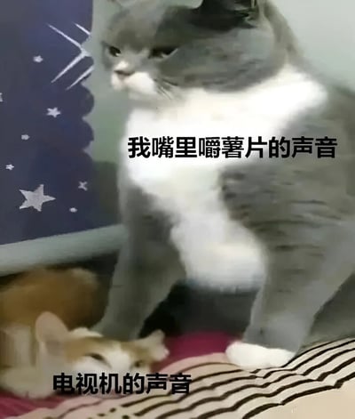 图片中展示了两只猫的有趣对比场景。一只灰白相间的大猫正直立坐着，表情严肃，身上配有文字"我嘴里嚼薯片的声音"。在它旁边，一只橘白相间的小猫正悠闲地躺着，身上配有文字"电视机的声音"。背景中可以看到带有星星图案的墙壁和条纹图案的床铺，整体营造出一种幽默的居家氛围。