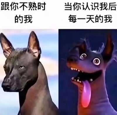 这是一张左右对比梗图，展示了与人不熟时和熟悉后的两种状态对比。左边是一只表情严肃、姿态端正的黑色杜宾犬，背景是蓝天；右边是一只表情夸张、吐着舌头的卡通化狗狗形象，背景较暗。通过狗狗表情和姿态的强烈对比，幽默地表现了人们在不同熟悉程度下展现的不同性格侧面。