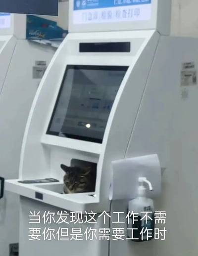 暂无描述