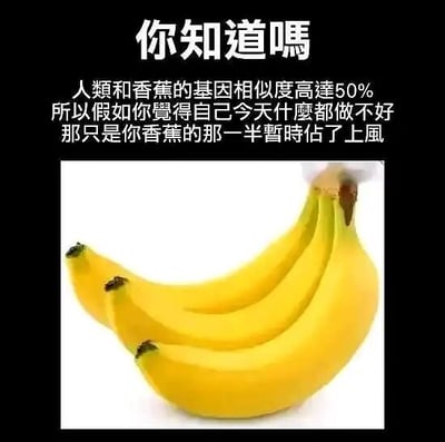 这是一张顶配底文的静态搞笑梗图，上方文字先介绍了一个趣味科普事实：人类和香蕉的基因相似度高达50%，随后以此为创作灵感，用幽默的口吻调侃人们的日常状态——如果觉得自己当天什么都做不好、效率低下，只是体内属于香蕉的那一半基因暂时占了上风。图中用生活化的调侃方式，将人们状态不佳、摸鱼的情况归因于“香蕉基因”，消解了状态不好时的焦虑情绪，十分贴合当下年轻人的网络语境，适合用于自我调侃或和朋友打趣。