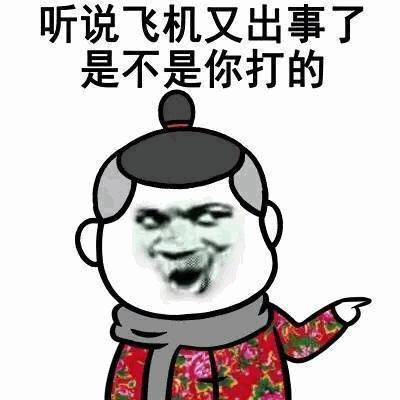 听说飞机出事了是不是你打的