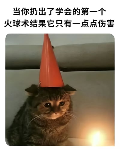 图片上方配有文字“当你扔出了学会的第一个火球术结果它只有一点点伤害”，下方是一只戴着橙色锥形帽（形似巫师帽）的虎斑猫，猫咪表情无辜困惑，身旁有一小簇微弱的火焰。整体通过猫咪“法师”与迷你火球的反差，幽默表现出初次施展技能效果不佳的尴尬场景，充满可爱与搞笑氛围。
