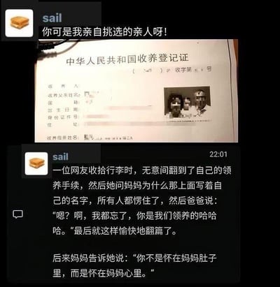 这是一张社交媒体聊天记录截图，用户“sail”分享了一个暖心故事。截图上方是用户发送的消息“你可是我亲自挑选的亲人呀！”，中间是一张“中华人民共和国收养登记证”的照片（部分信息已模糊处理），下方是详细的故事描述：一位网友收拾行李时发现领养手续，询问母亲后全家愣住，父亲幽默表示“忘了是领养的”，母亲则温柔回应“你不是怀在妈妈肚子里，而是怀在妈心里”。整个内容传递出养亲之间深厚的情感。