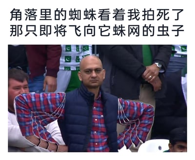 这是一张经过P图改编的图文混排搞笑梗图，上方配文为“角落里的蜘蛛看着我拍死了那只即将飞向它蛛网的虫子”，下方是一张观众席抓拍的真人照片，照片中的光头男子被P出多只重叠的格子衬衫手臂，模仿蜘蛛的肢体形态，男子表情无奈、生无可恋，生动地将蜘蛛拟人化，表现出蜘蛛眼看着自己的猎物被拍死、失去食物来源的绝望与无力感，通过荒诞的视觉效果和贴合的文字，制造出搞笑又共情的氛围，常用于调侃希望落空、失去依靠的处境。