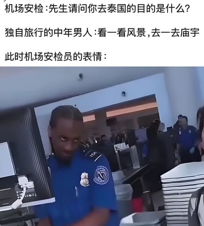 图片上方为文字对话，机场安检询问独自旅行的中年男子去泰国的目的，男子回答“看一看风景，去一去庙宇”，下方配图为一名身穿蓝色制服的机场安检员，表情呈现出明显的怀疑和不以为然，通过表情与对话的反差制造幽默效果，暗示对中年男子旅行目的的调侃。