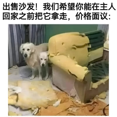 图片上方有黑色文字：“出售沙发！我们希望你能在主人回家之前把它拿走，价格面议：”。下方是一张实拍照片，两只白色狗狗站在一个严重损坏的黄色沙发旁，沙发的扶手和坐垫被撕开，内部的黄色泡沫和布料碎片散落一地。狗狗表情平静，与被毁坏的沙发形成鲜明对比，营造出一种搞笑又无奈的氛围，仿佛是狗狗闯祸后主人紧急处理“案发现场”的幽默场景。