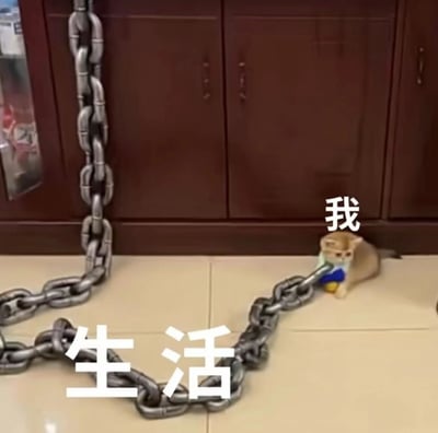 一只可爱的小猫正在用力拉着一条巨大的铁链，小猫身上标注着“我”，而铁链上标注着“生活”。图片用幽默的方式比喻了人们在生活中努力奋斗、对抗压力的状态。小猫与巨大铁链形成鲜明对比，展现了一种虽然力量悬殊但依然坚持的精神。