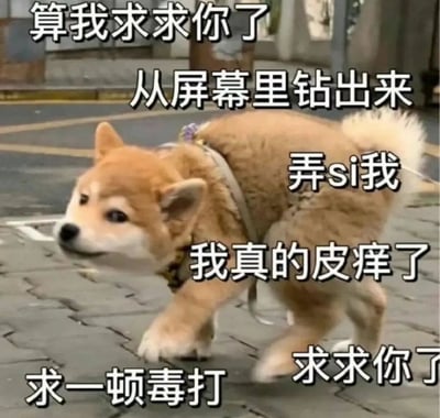 图片中是一只戴着项圈的柴犬站在街道上，表情看起来期待又俏皮。图片上叠加了多段夸张的中文文字：“算我求求你了 从屏幕里钻出来 弄si我 我真的皮痒了 求一顿毒打”。通过可爱的柴犬形象与自嘲式的“求锤”文字形成反差萌，营造出幽默搞笑的效果，常用于朋友间调侃或表达夸张的期待感。